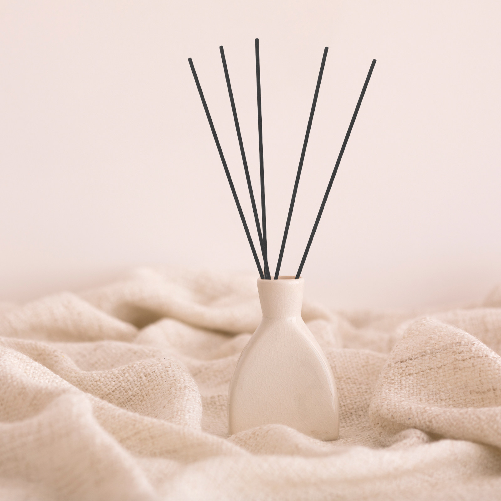 100 шт. черных фибровых палоче – обзор и цена Home And You Fragrance Diffuser