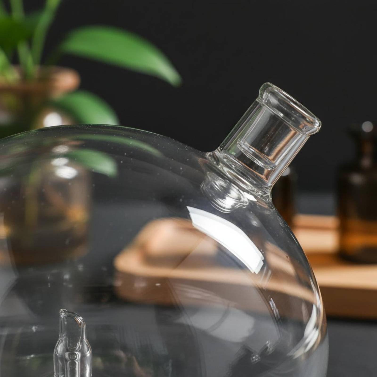 Универсальный стеклянный сменн – обзор и цена Home And You Fragrance Diffuser
